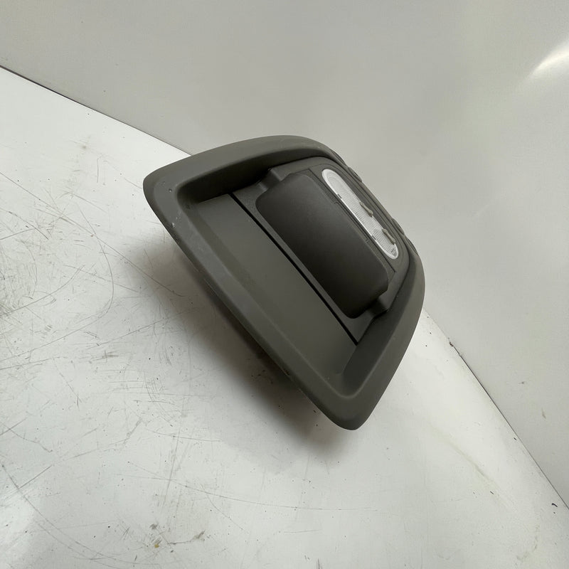 2019 / Vauxhall / Renault / Master /INTERIOR ROOF LIGHT / 2.3L Diesel / 969807908R