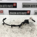 2014-2022 Ford / Glow Plug Wiring Loom / 2.0L Diesel / GK2T-6M091-AB - Dragon Engines LTD